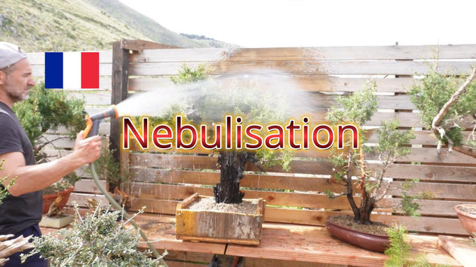 Book - Nebulisation Ep.1